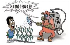 去除農(nóng)殘方法你知多少？